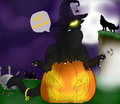 Happy Halloween!