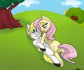 Commission: Blue Shield and Fluttershy.