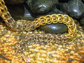 Persian weave 1 of 2 by Blackmagickfox