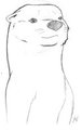Pencil sketches of the day! 17-10-13