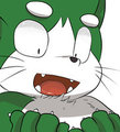 Paws!