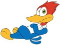 Woody Woodpecker