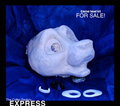 Canine Head Kit for Sale by TheCritterFactory