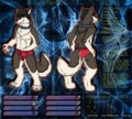 Danny The Giant Husky