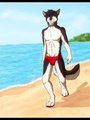 A relaxing Walk