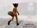 Swift Life - Stille City