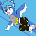 [COMM] Rollar Wolfcub