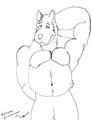 Large Canine Belly