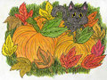 Pumpkins!