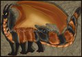Wooly Bear Dragon