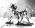 Winter is comming! x3