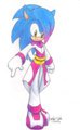 Connor the hedgehog