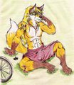 bike crash...