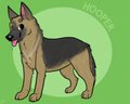 german sheps by Layt0n