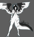Piano wings