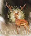 OH DEER LORD by anir