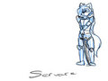 Servare Sheet (WIP)