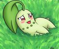 Chikorita. by WiggaBuySomeApples