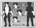 Ref Sheet Commission: Elias Collie  by JorgeTheWolfdog
