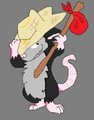 Hat and possum