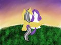 Rarity X Sunstreaker