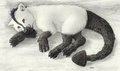 Anselm Cub by Gehenna
