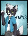 Wolffkey