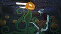Pumpkin Patch