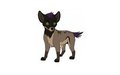 Iniko (colors)