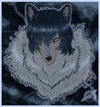 Wolf Children Father