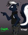 Erica skunk