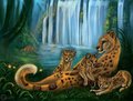 Queen of the jungle by hotwert