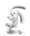 Scared bunny