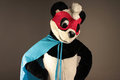 Super Parinton costume
