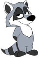 Meeko by FoxyKitsuneFox