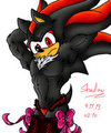 Shadow with Sexy Underwear
