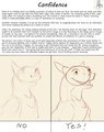 Tuke's Tips - Confidence