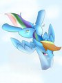 rainbow dash