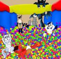 Ball Pit fun