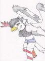Mur the bird