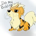 Growlithe by UrDeerFriend
