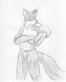 Bionic Wolf by MaxTwenty