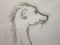 Moyo Mongoose Sketches
