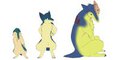 Ignatius' evolutions