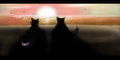 Don't you love the sunset by Ozrick