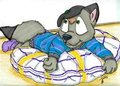 Loupgris the french wolfie