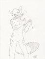 FF Commission - Tarato the Wolf Hyena
