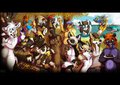 A PerthFurs BBQ!
