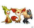 XY Starters by Burri