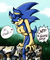 Fem-Sonic